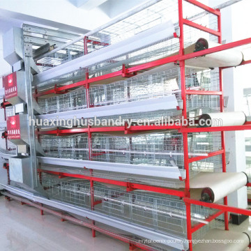 Low cost Automatic poultry farming design for broiler layer chicken house/shed